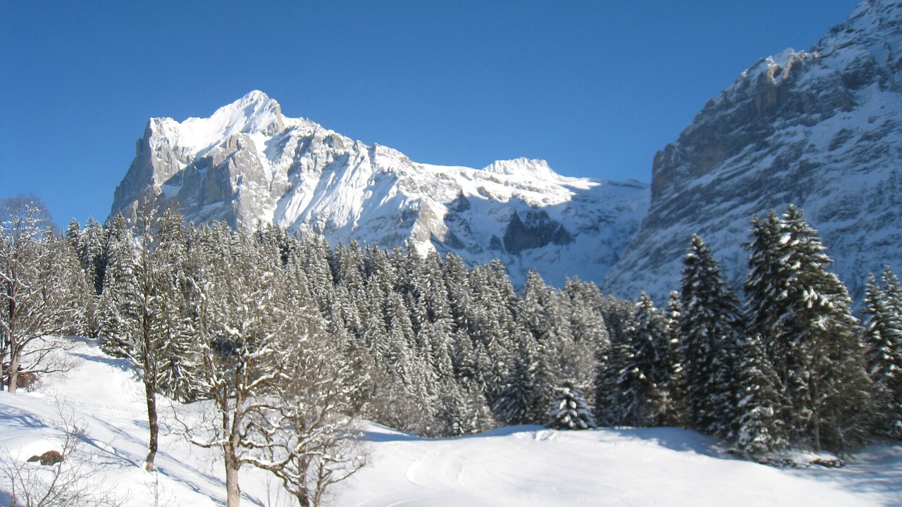 Photo of Others in Grindelwald