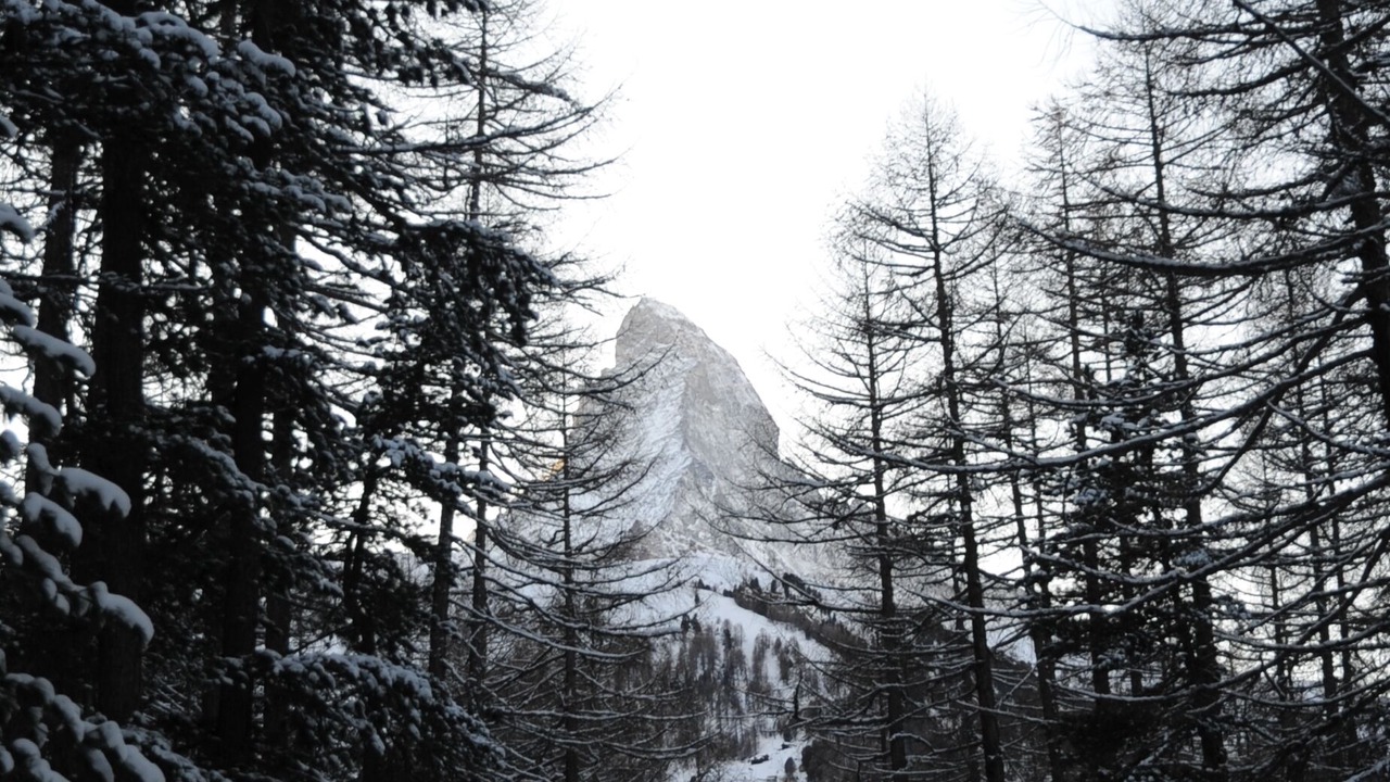Photo of Outdoor in Zermatt