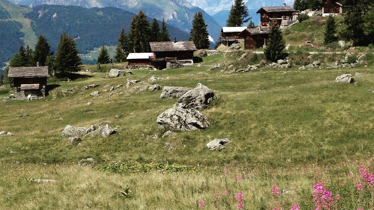Photo of Outdoor in Sarreyer