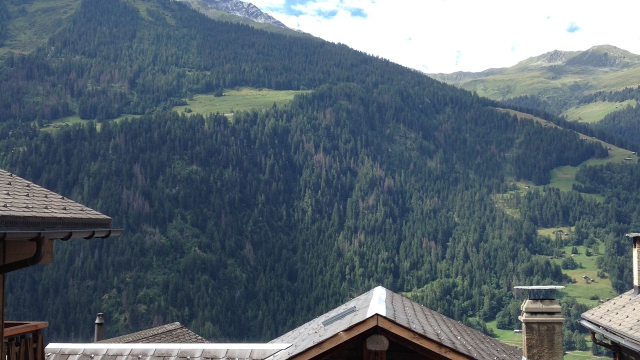 Photo of Outdoor in Sarreyer
