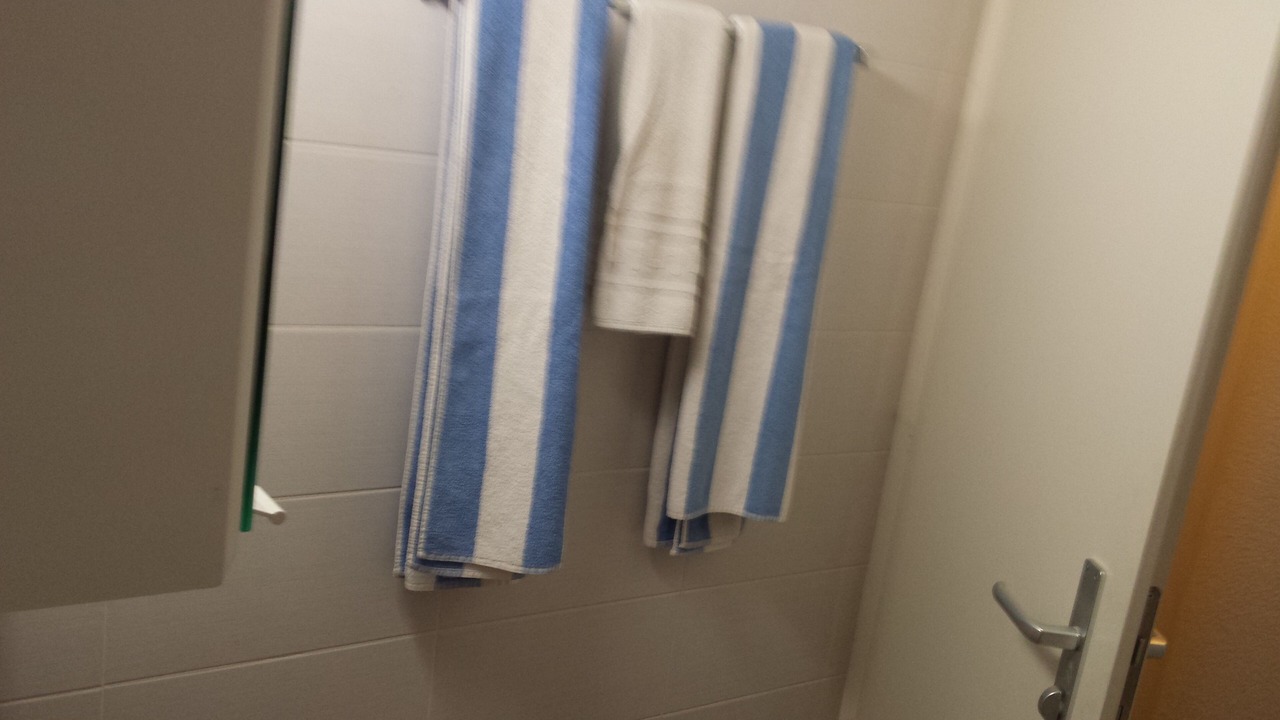 Photo of Bathroom in Plainpalais
