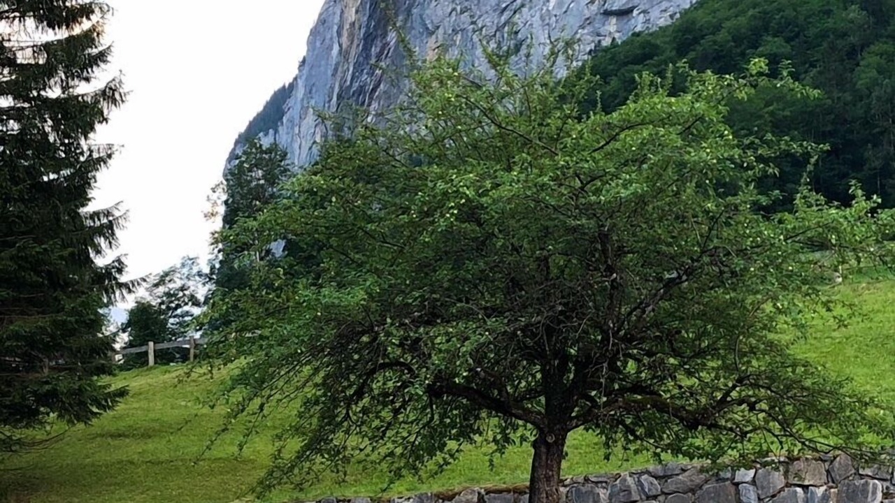 Photo of Others in Lauterbrunnen