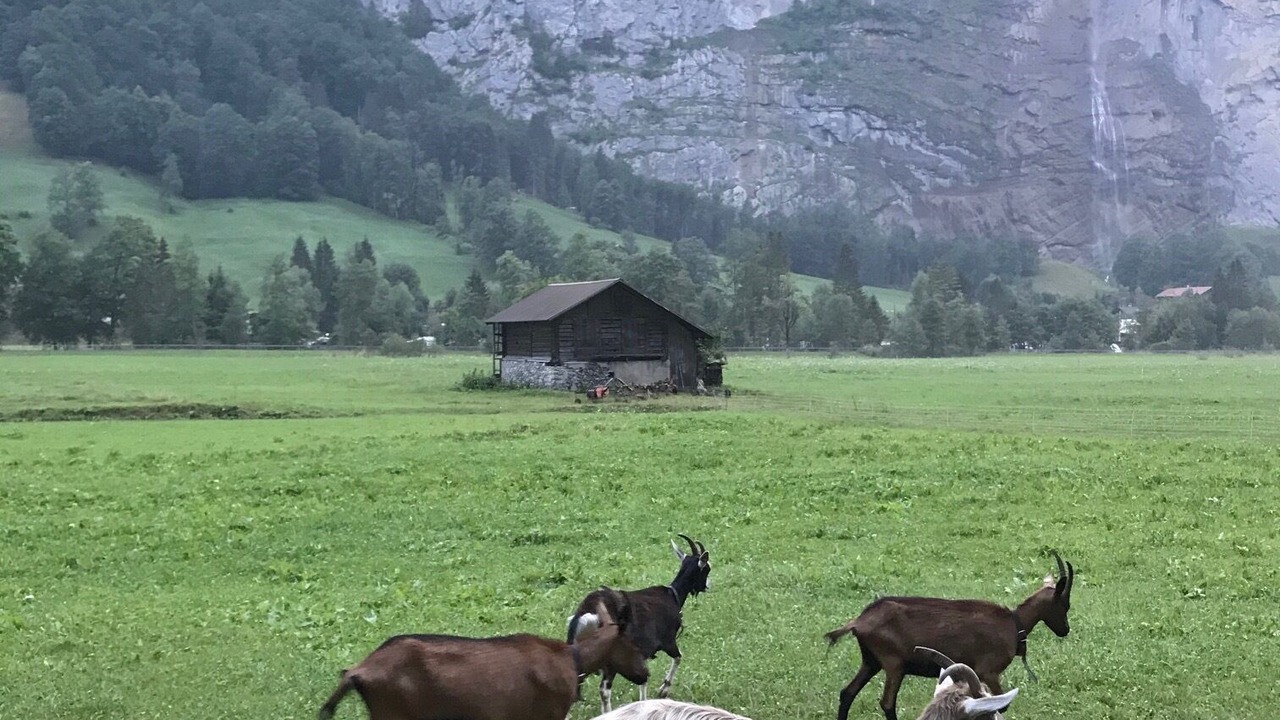 Photo of Others in Lauterbrunnen