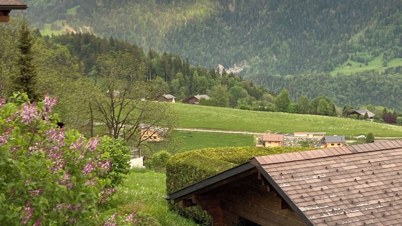 Photo of Outdoor in Leysin