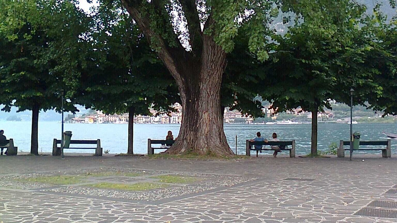 Photo of Others in Sulzano