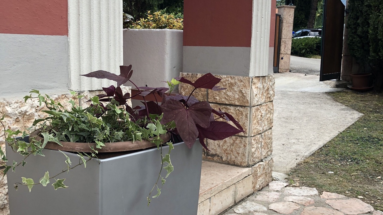Photo of Outdoor in Riva del Garda