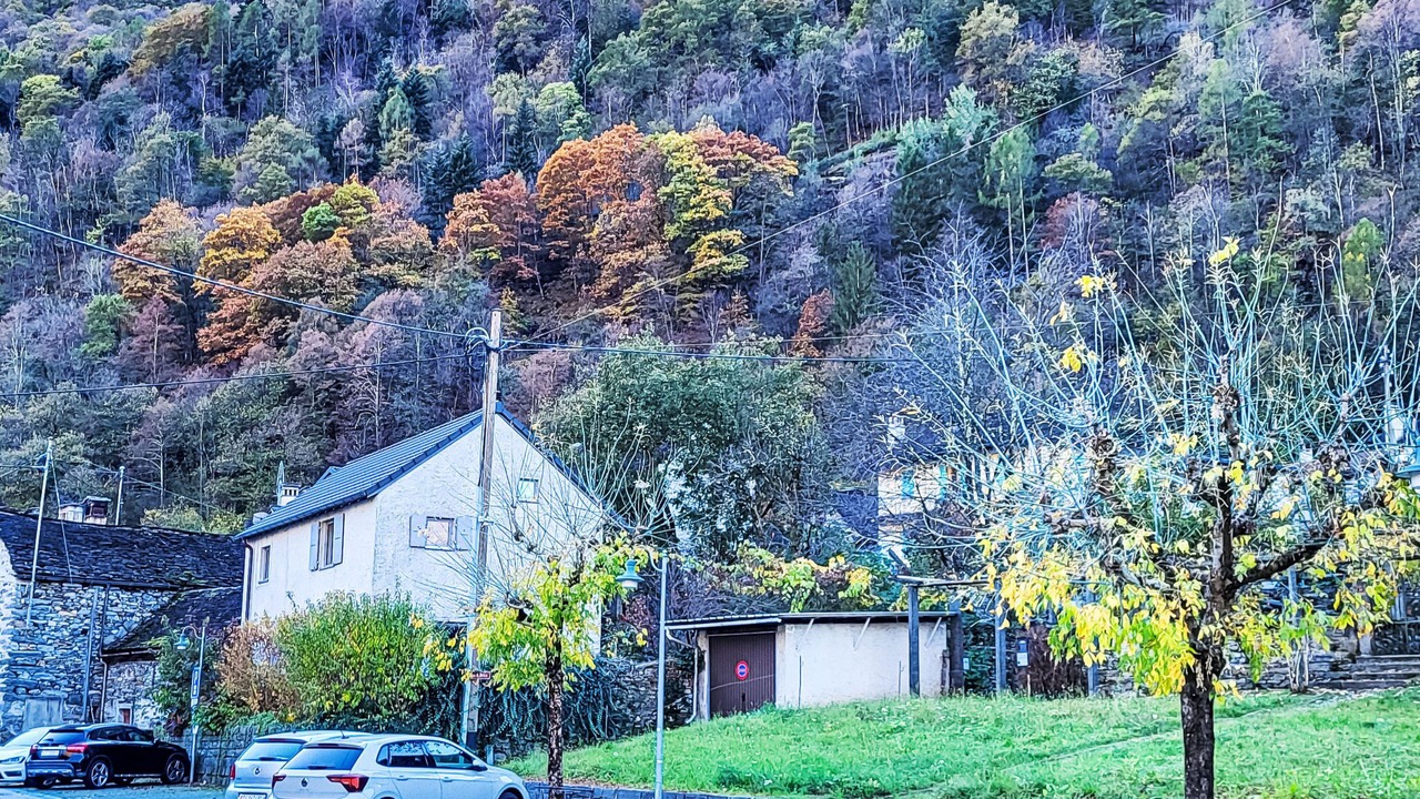 Photo of Others in Aurigeno
