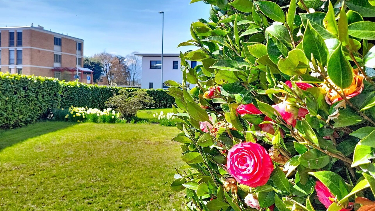 Photo of Outdoor in Riazzino