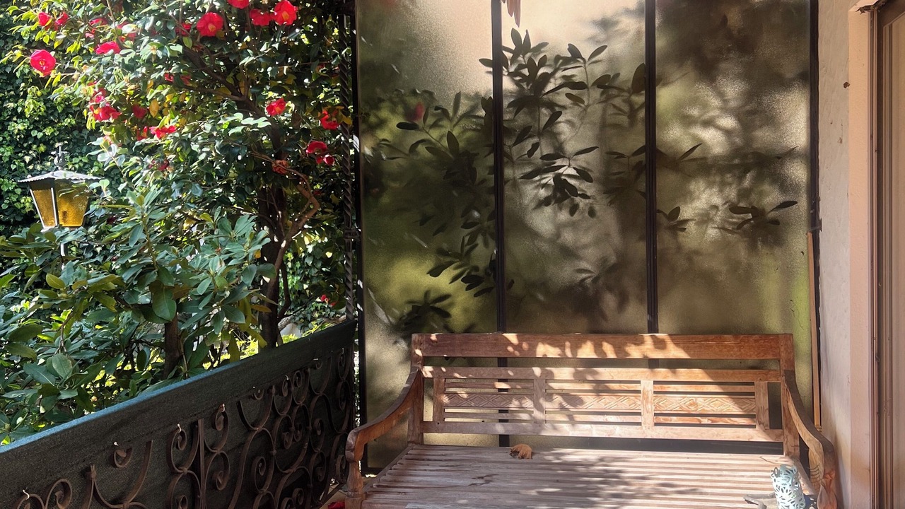Photo of Patio Balcony in Brissago