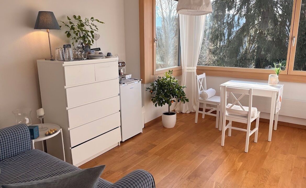 Photo of Livingroom in Meilen District