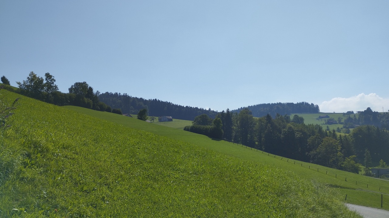 Photo of Others in Herisau