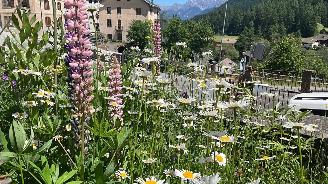 Photo of Outdoor in Lavin