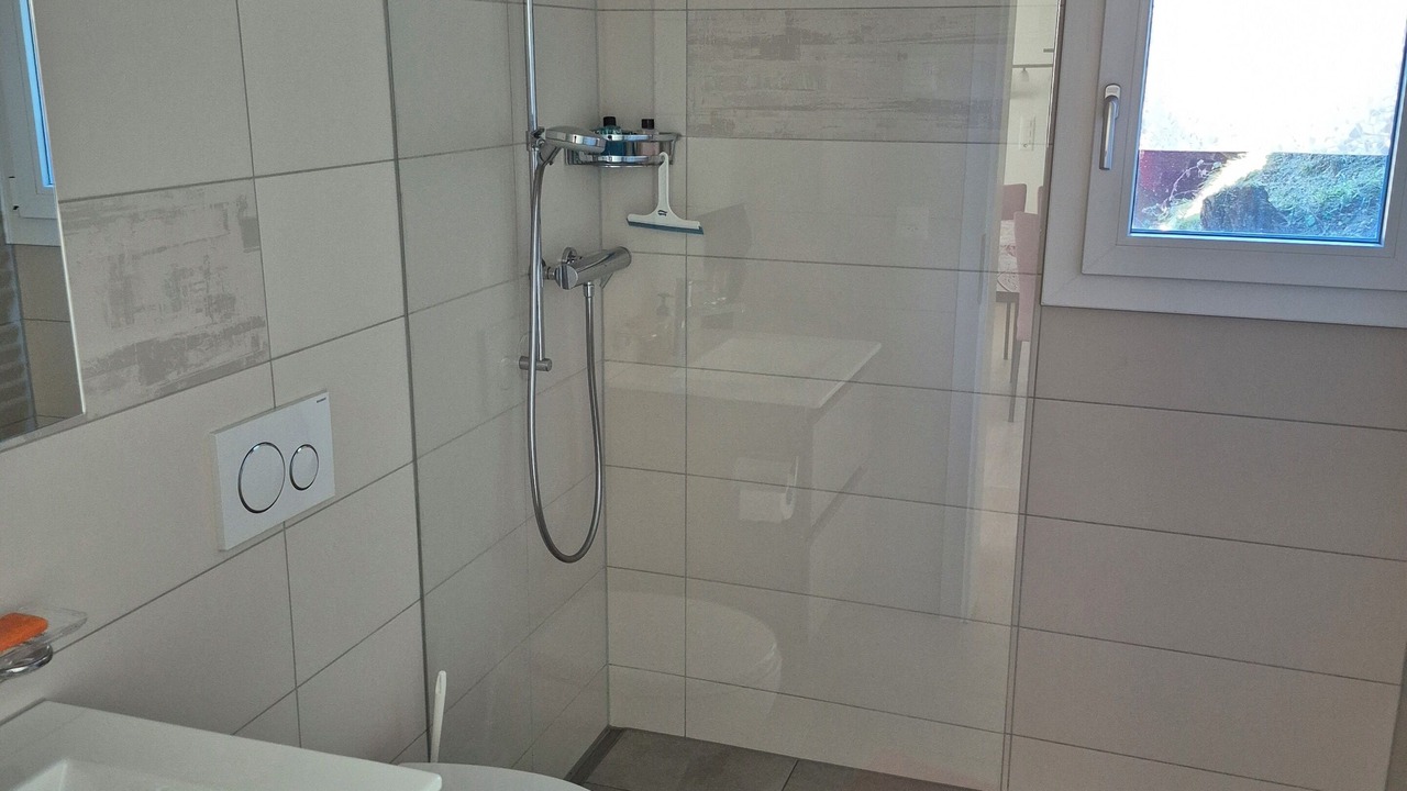 Photo of Bathroom in Lenk