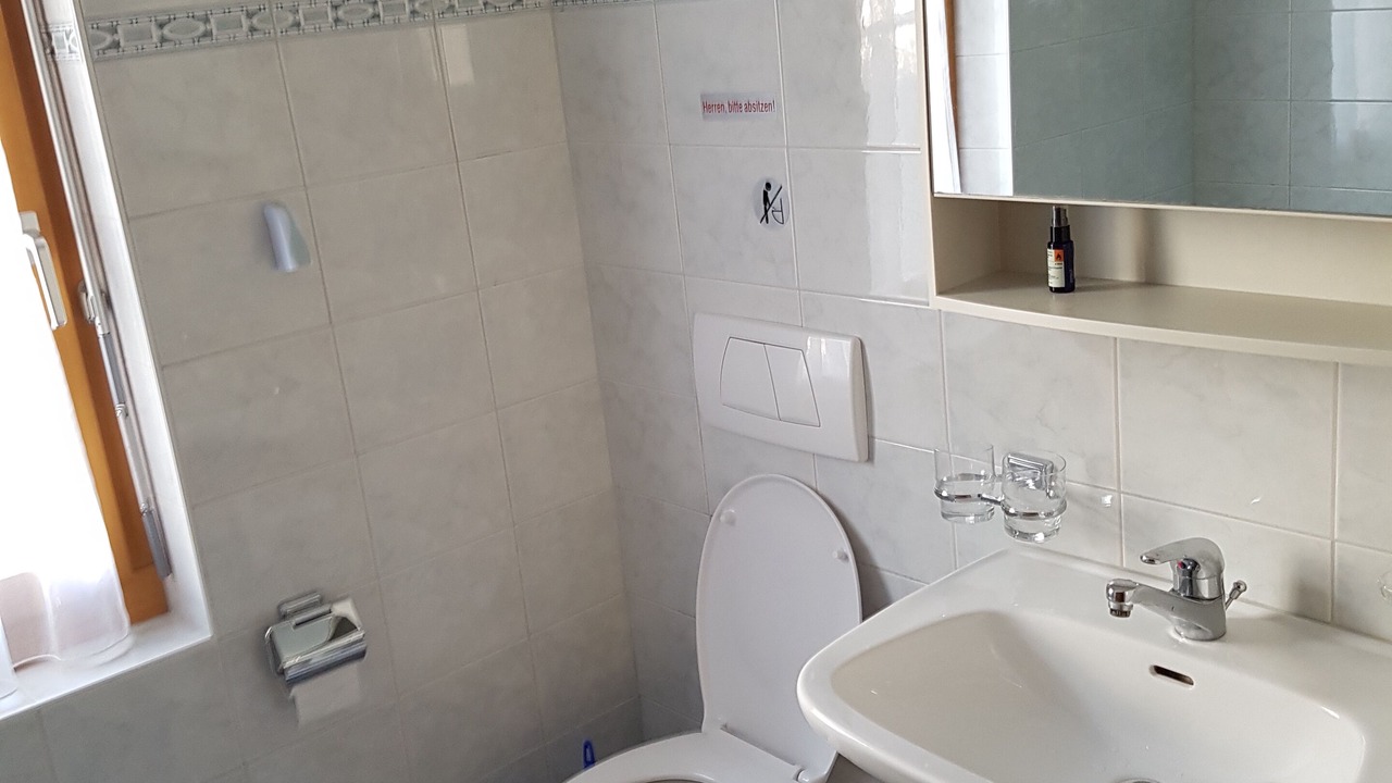 Photo of Bathroom in Glarus Sued