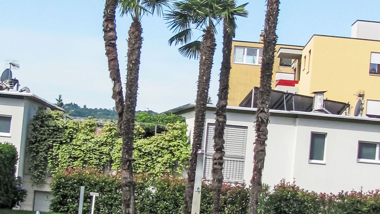 Photo of Outdoor in Caslano