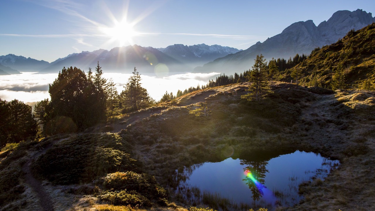Photo of Others in Meiringen