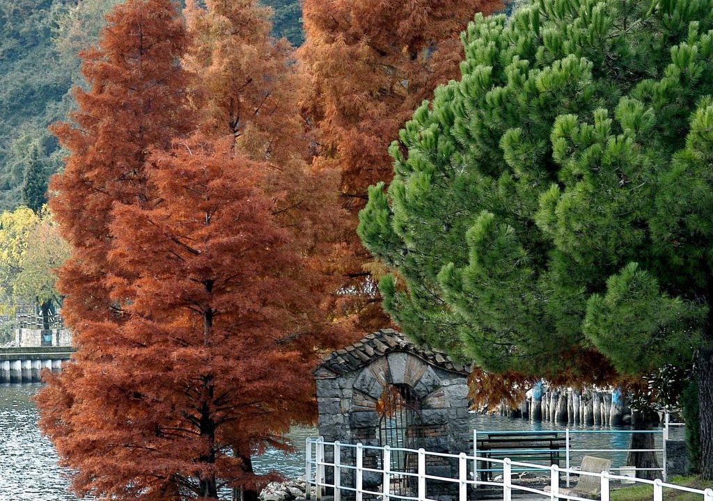 Photo of Others in Zorzino