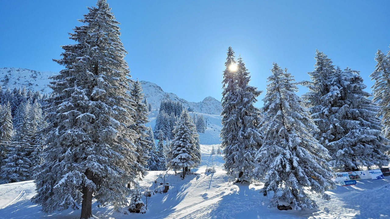 Photo of Others in Giswil