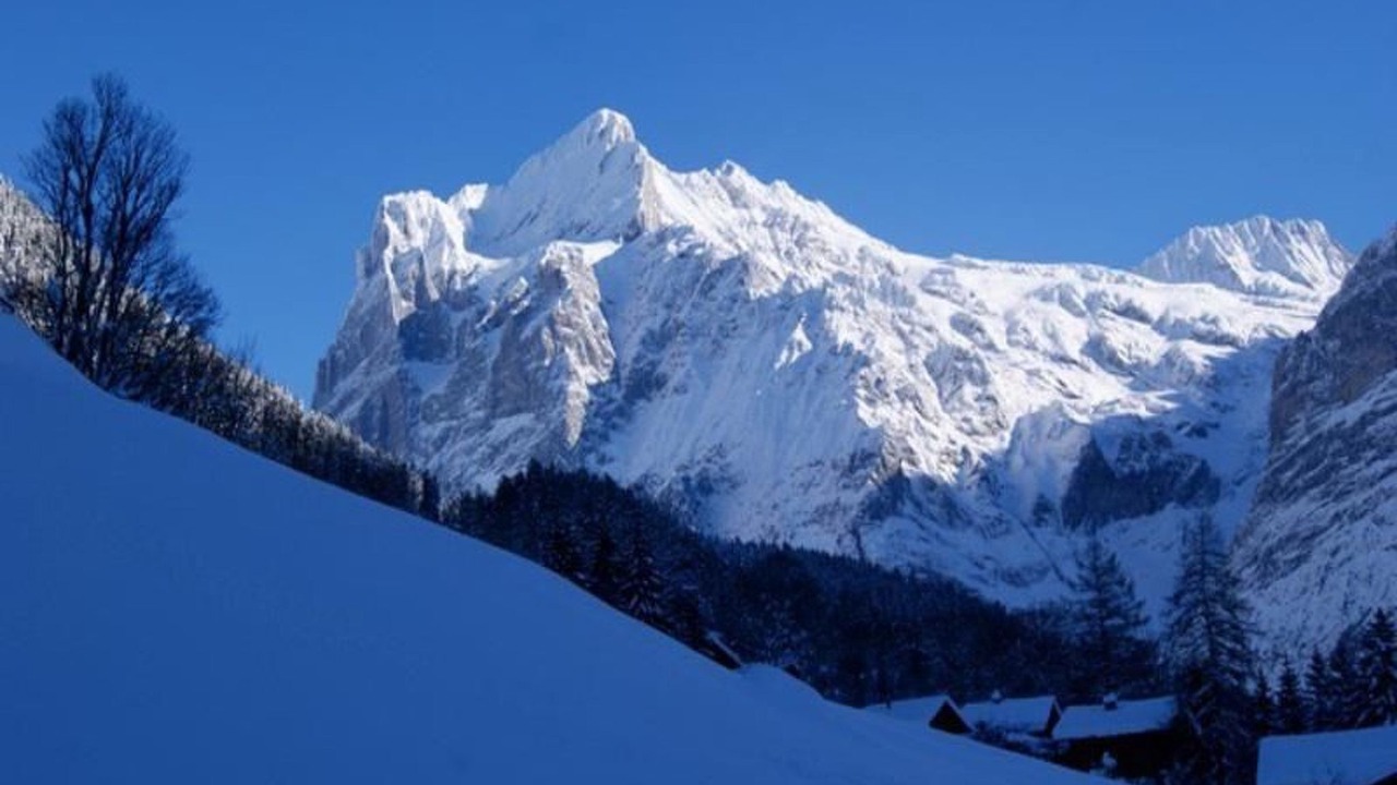 Photo of Others in Grindelwald