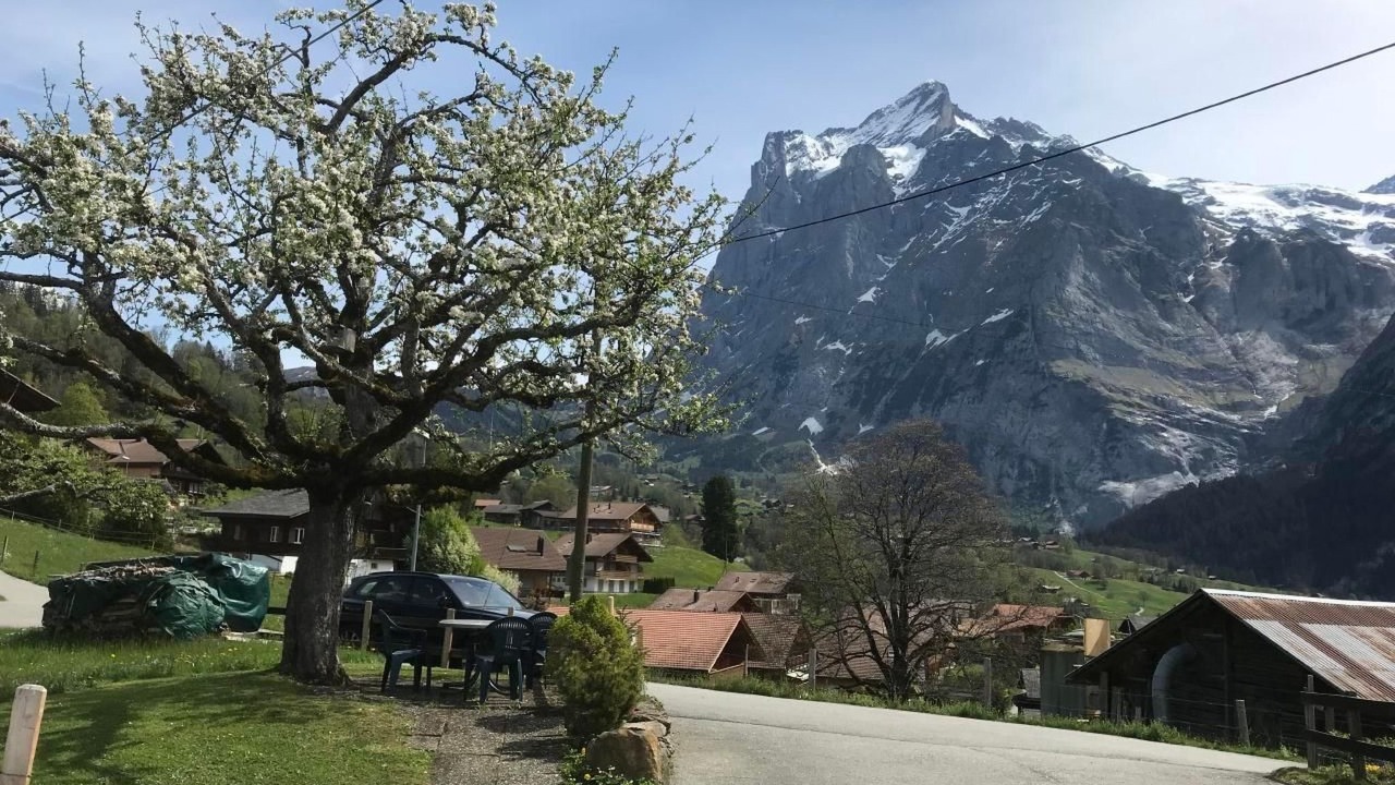 Photo of Others in Grindelwald