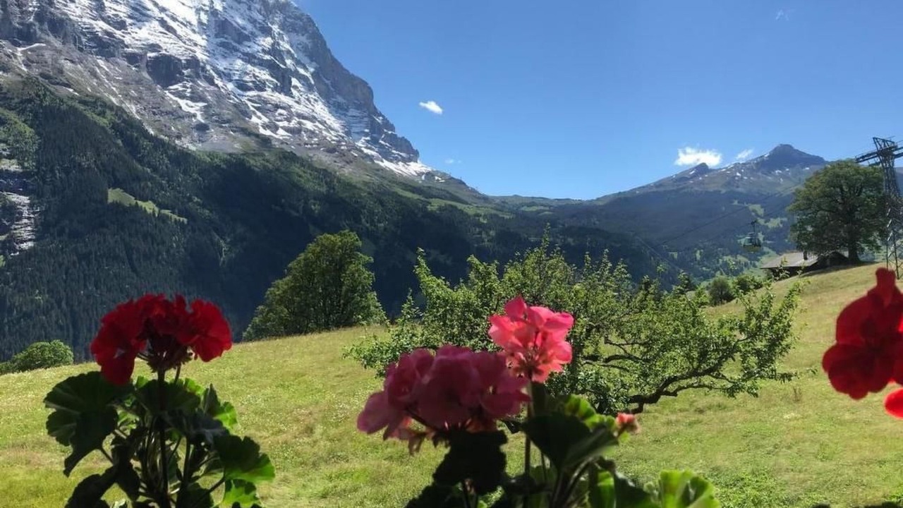 Photo of Outdoor in Grindelwald