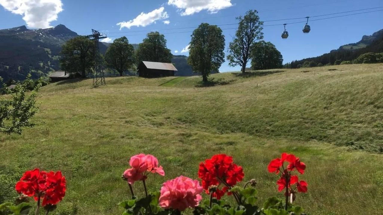Photo of Outdoor in Grindelwald