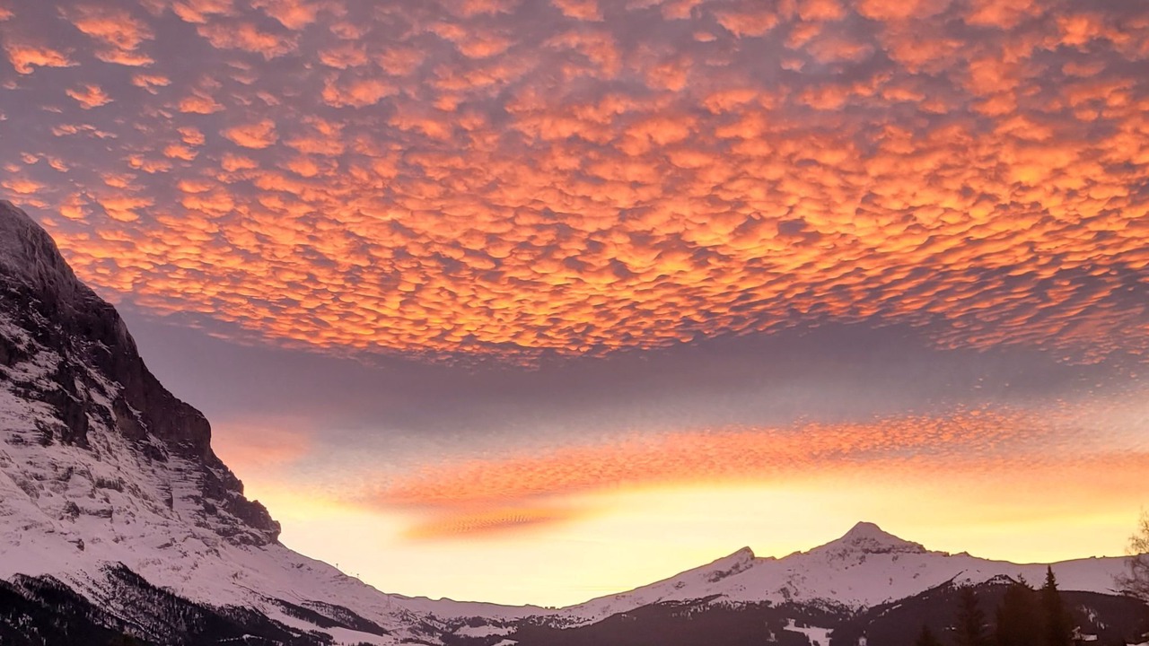 Photo of Others in Grindelwald
