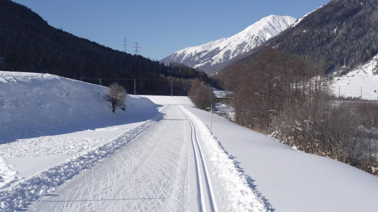 Photo of Others in Zernez