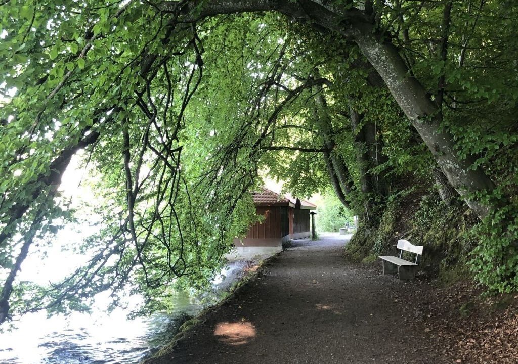 Photo of Others in Spiez