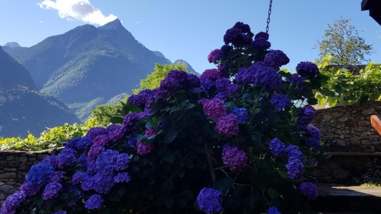 Photo of Outdoor in Semione