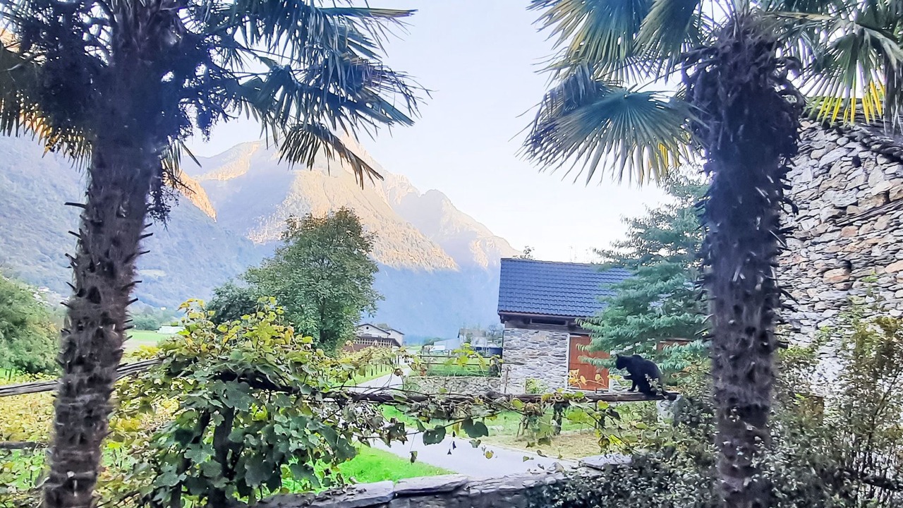 Photo of Others in Semione