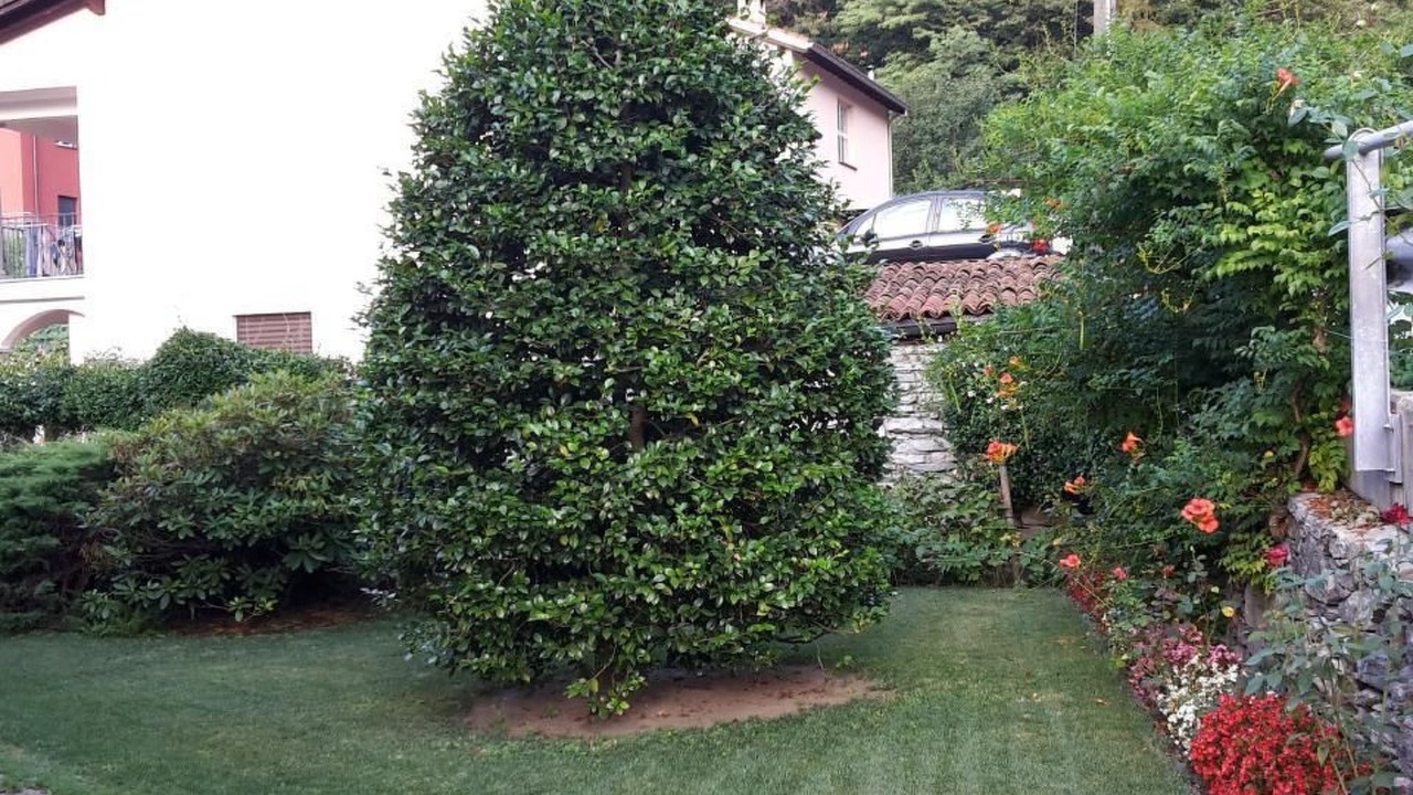 Photo of Outdoor in Intragna