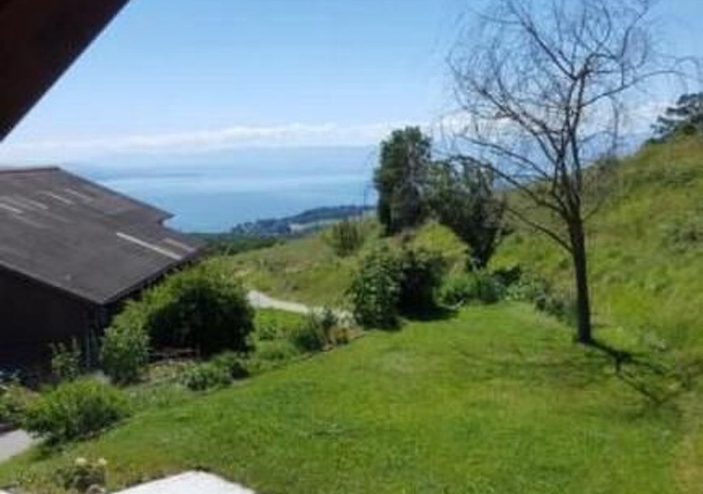 Photo of Others in Chardonne