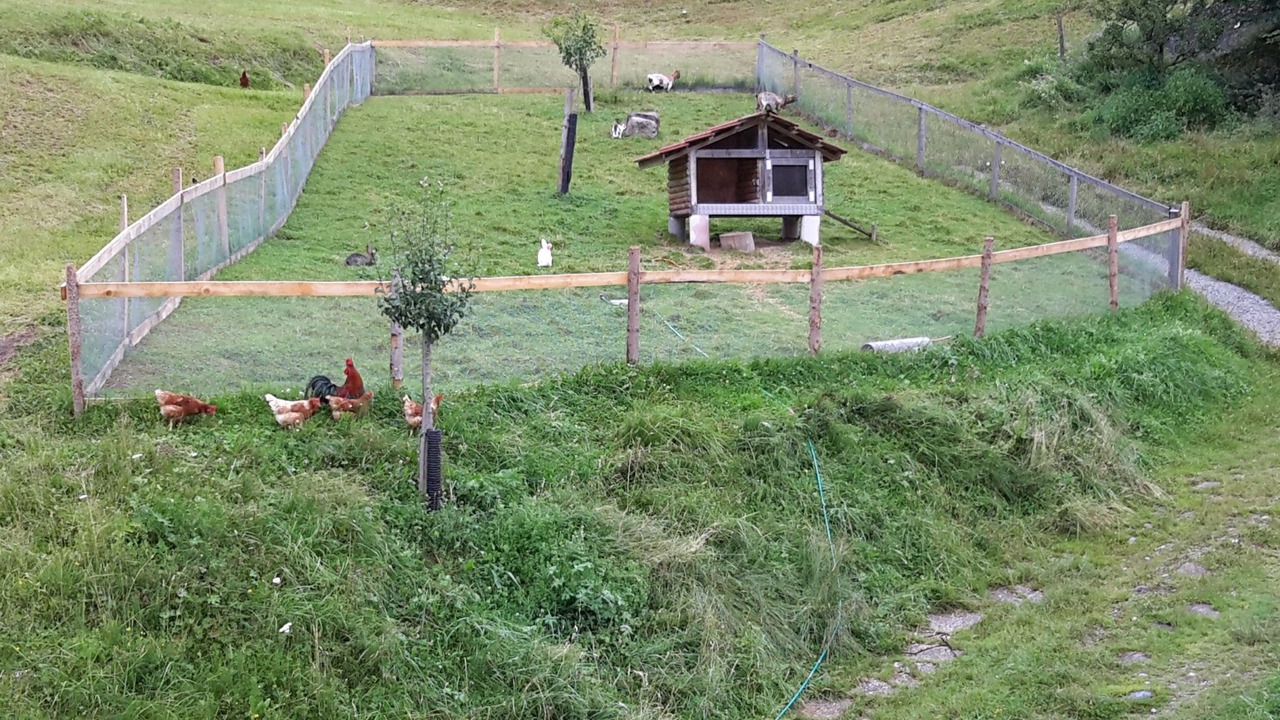 Photo of Others in Fluehli