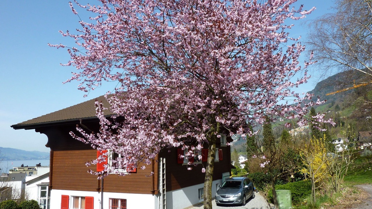 Photo of Others in Vitznau