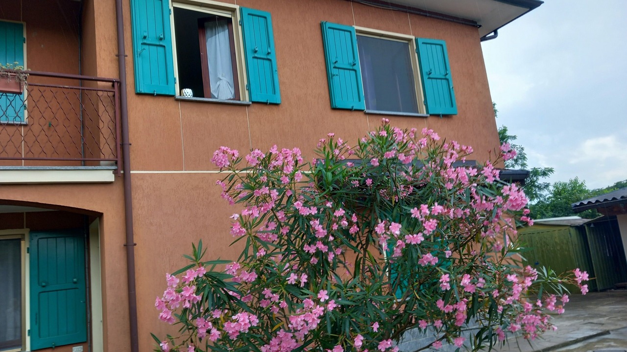 Photo of Outdoor in Porto Valtravaglia
