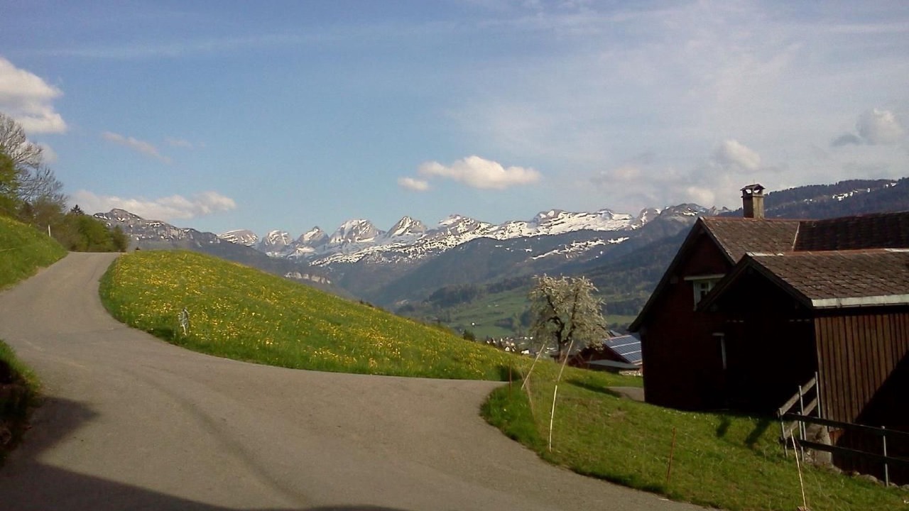 Photo of Others in Krummenau
