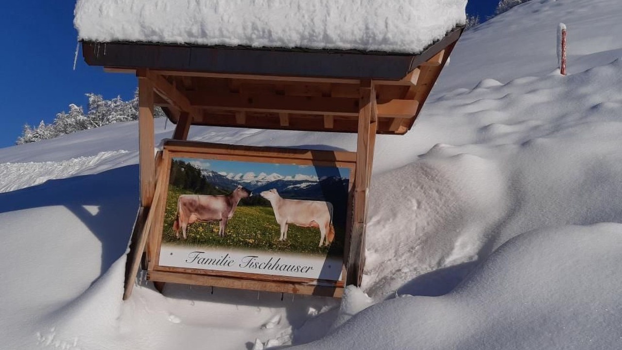 Photo of Others in Krummenau