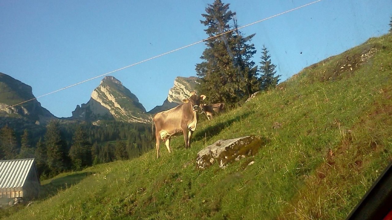 Photo of Others in Krummenau