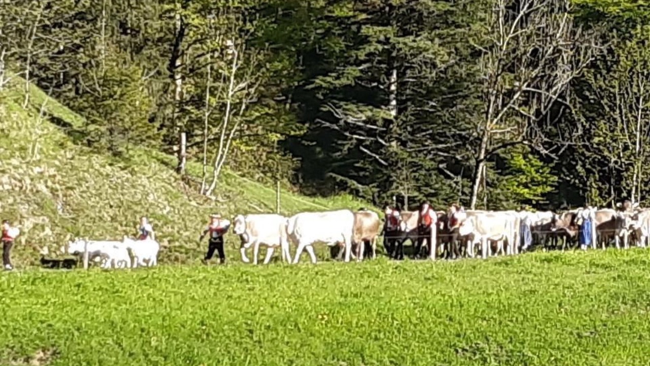 Photo of Others in Krummenau
