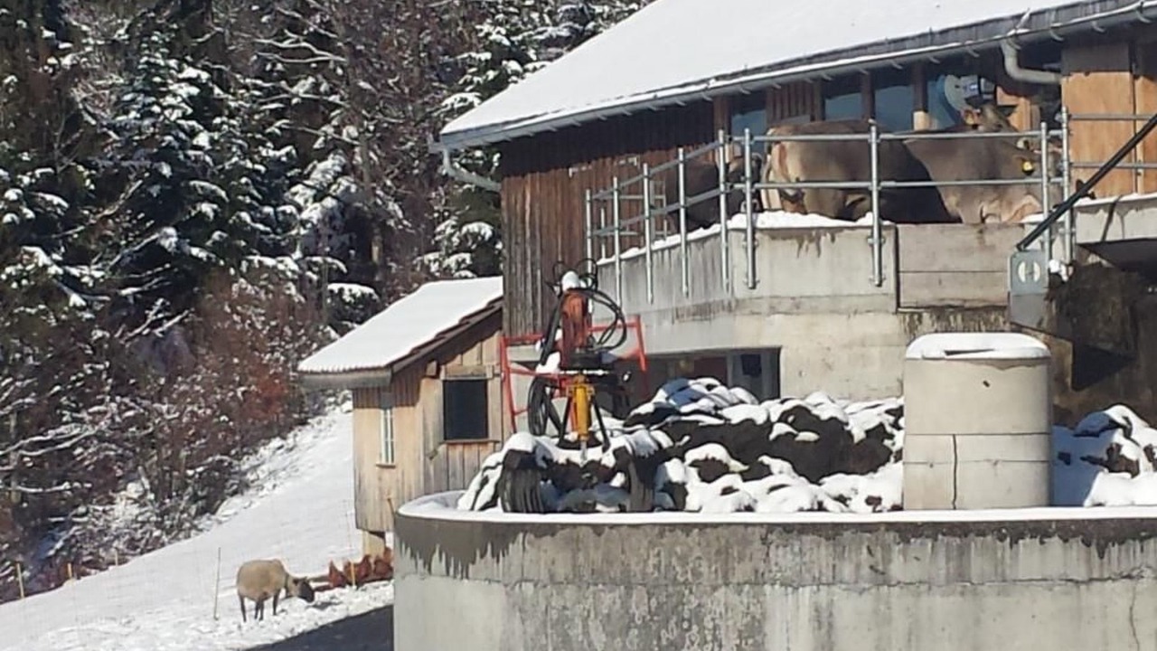 Photo of Others in Krummenau