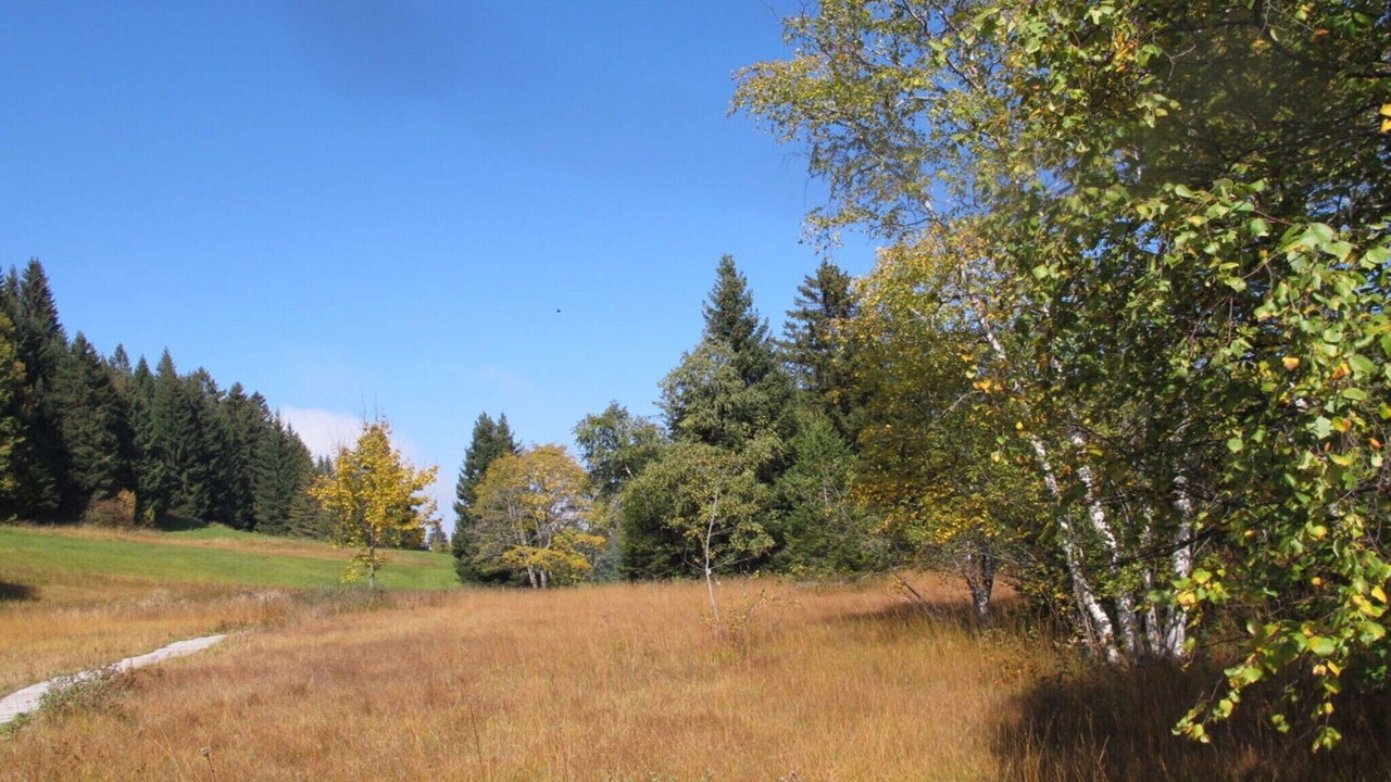 Photo of Others in Blonay