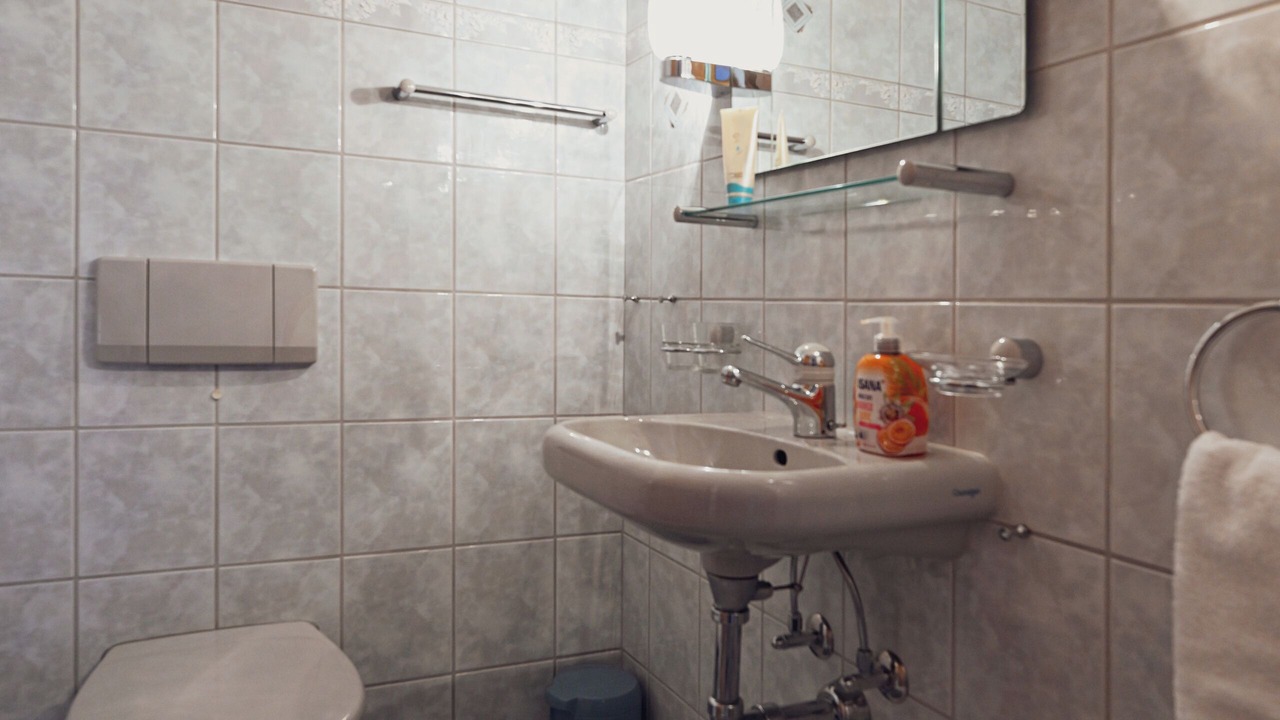 Photo of Bathroom in Ladir