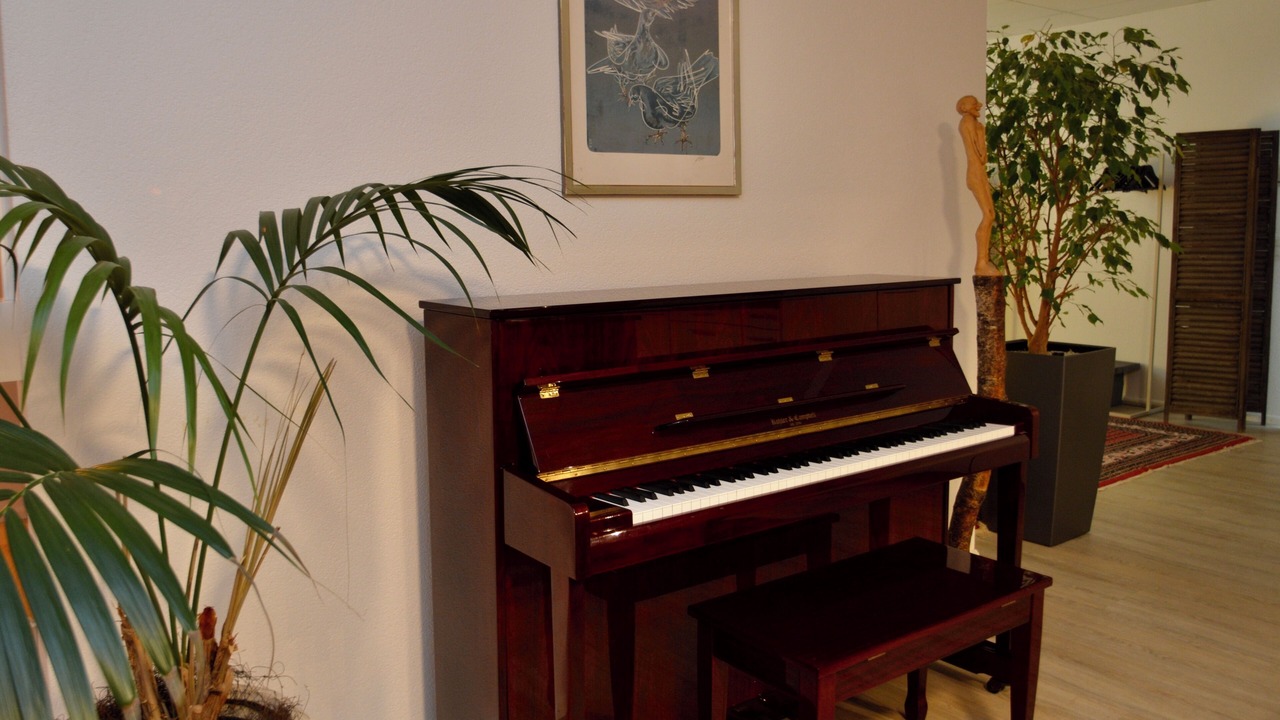 Photo of Others in Solothurn
