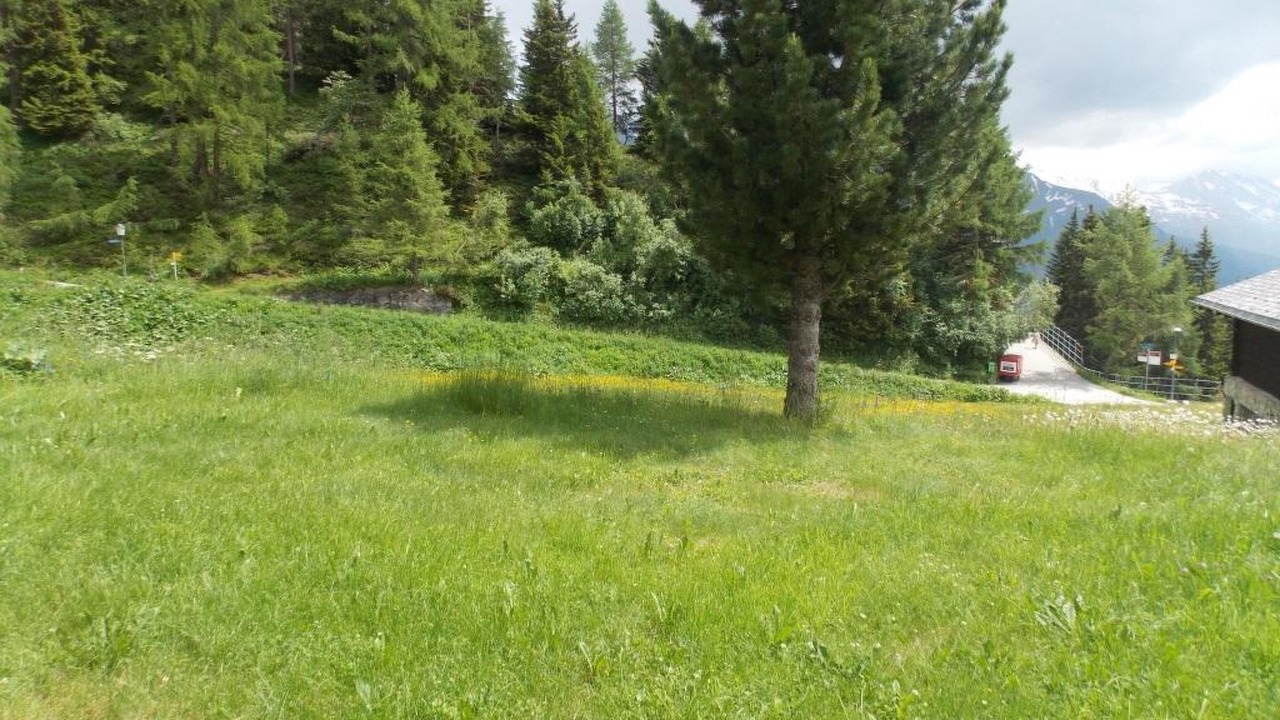 Photo of Others in Riederalp