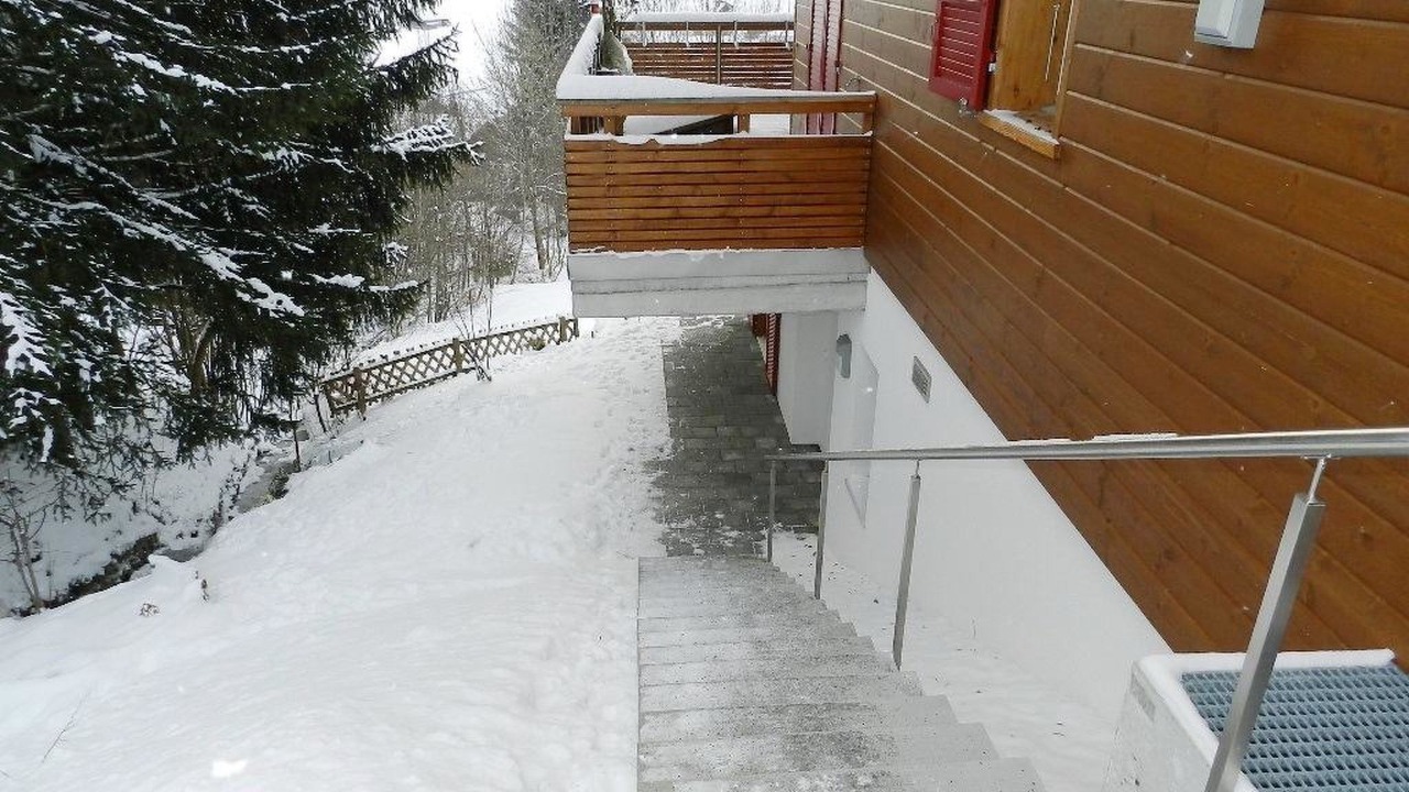 Photo of Others in Zweisimmen