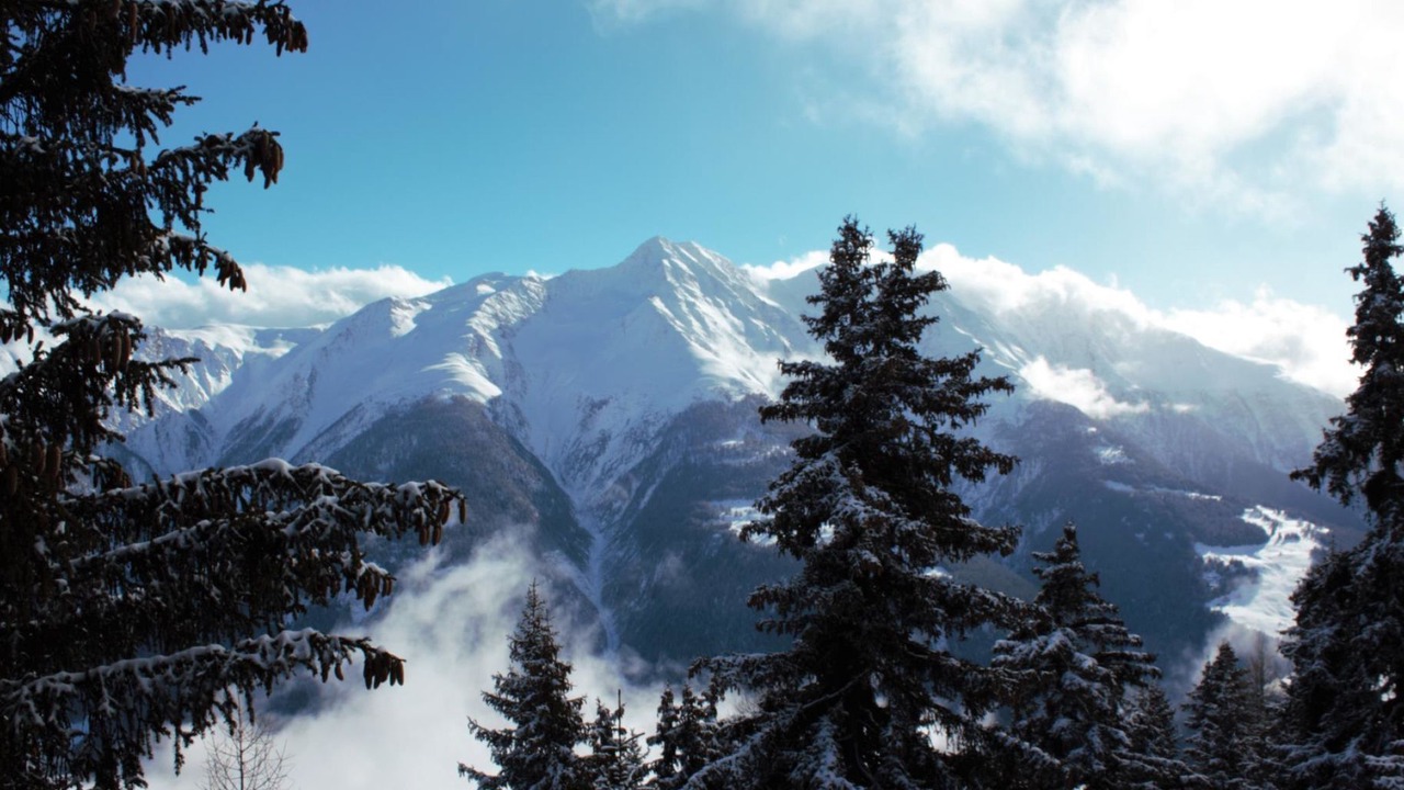 Photo of Others in Bettmeralp