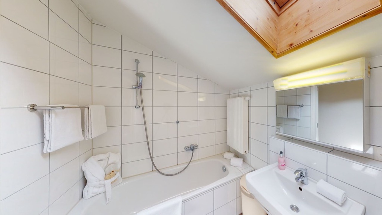 Photo of Bathroom in Unterterzen