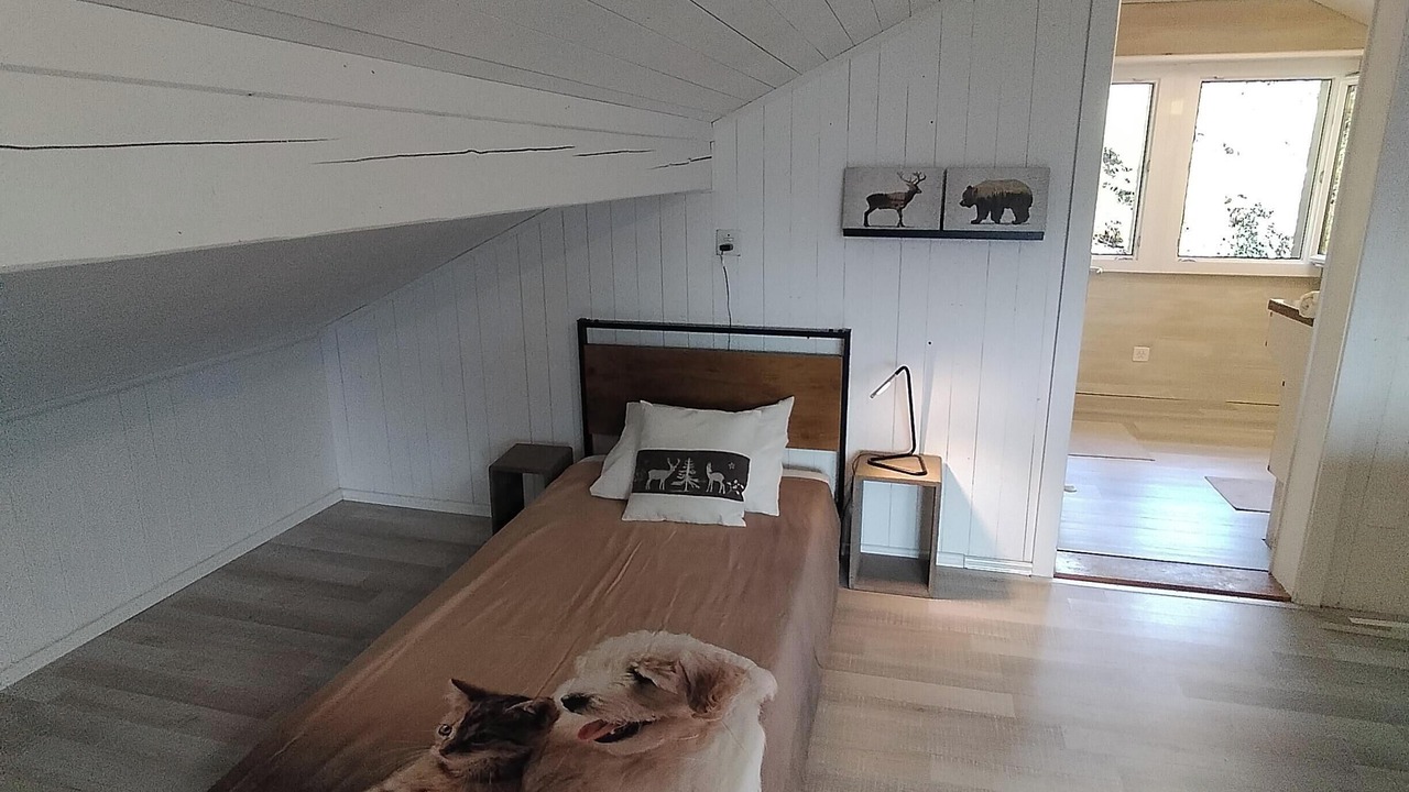 Photo of Bedroom in Ennetmoos