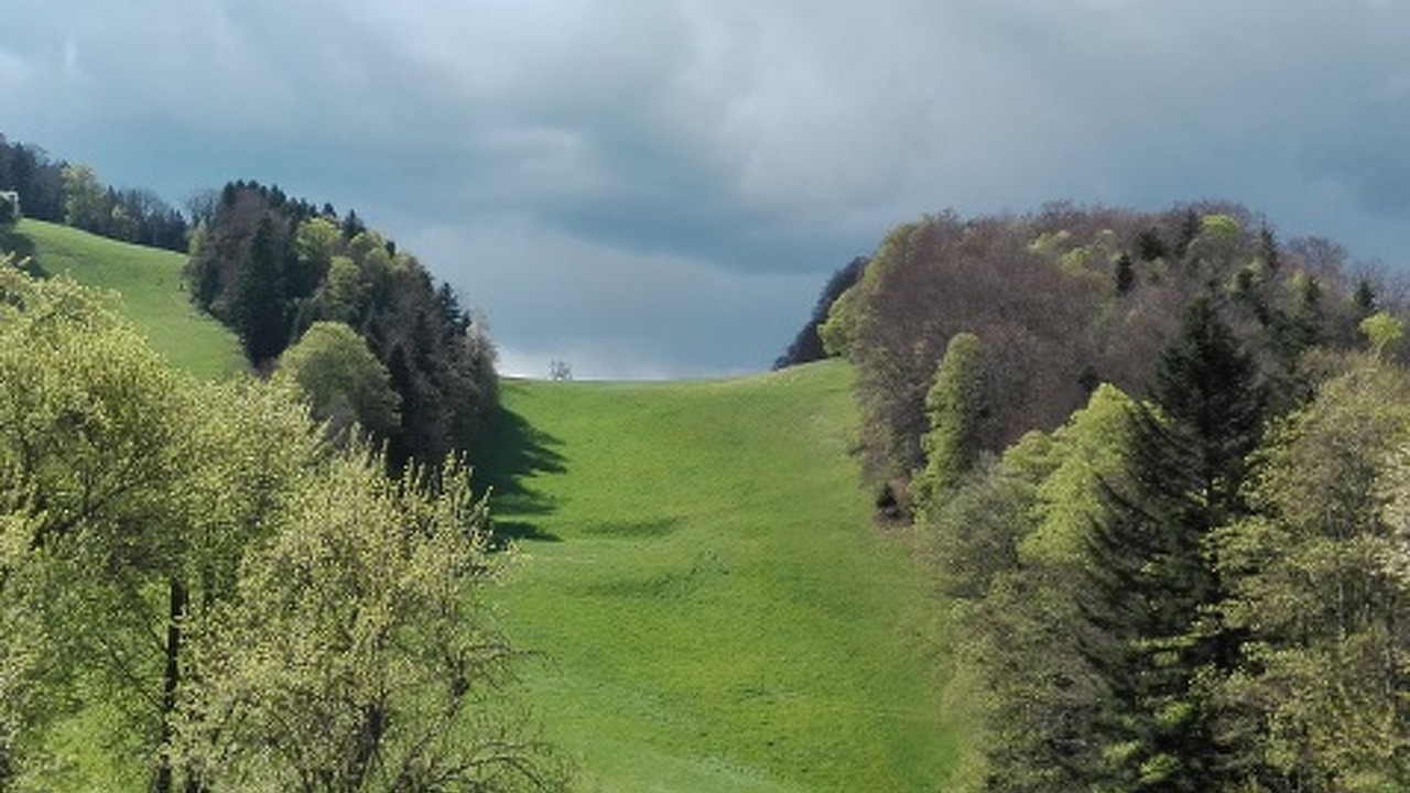 Photo of Others in Clos du Doubs